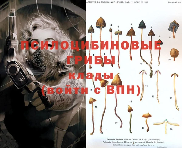 эйфоретик Алексеевка