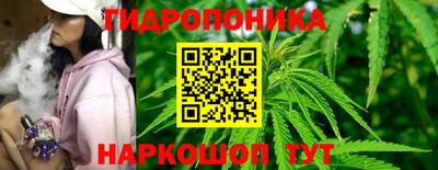ешки Брянск