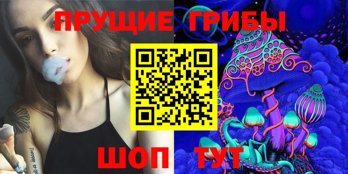 Псилоцибиновые грибы Psilocybe  Вход с VPN  Псилоцибиновые грибы мухоморы  Кинешма 