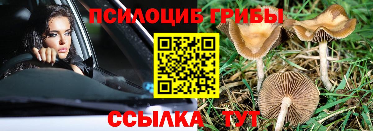 Галлюциногенные грибы мицелий Кинешма